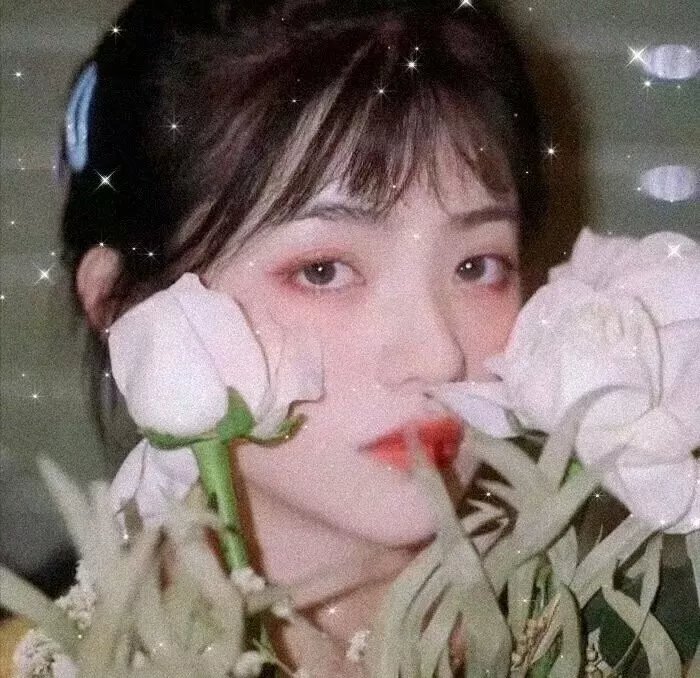 移城别恋